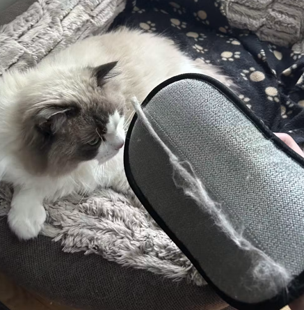 Ótima para pelos de gato