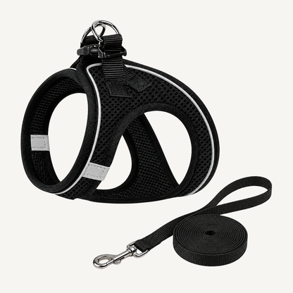 Arnês Refletor com Trela para Gatos