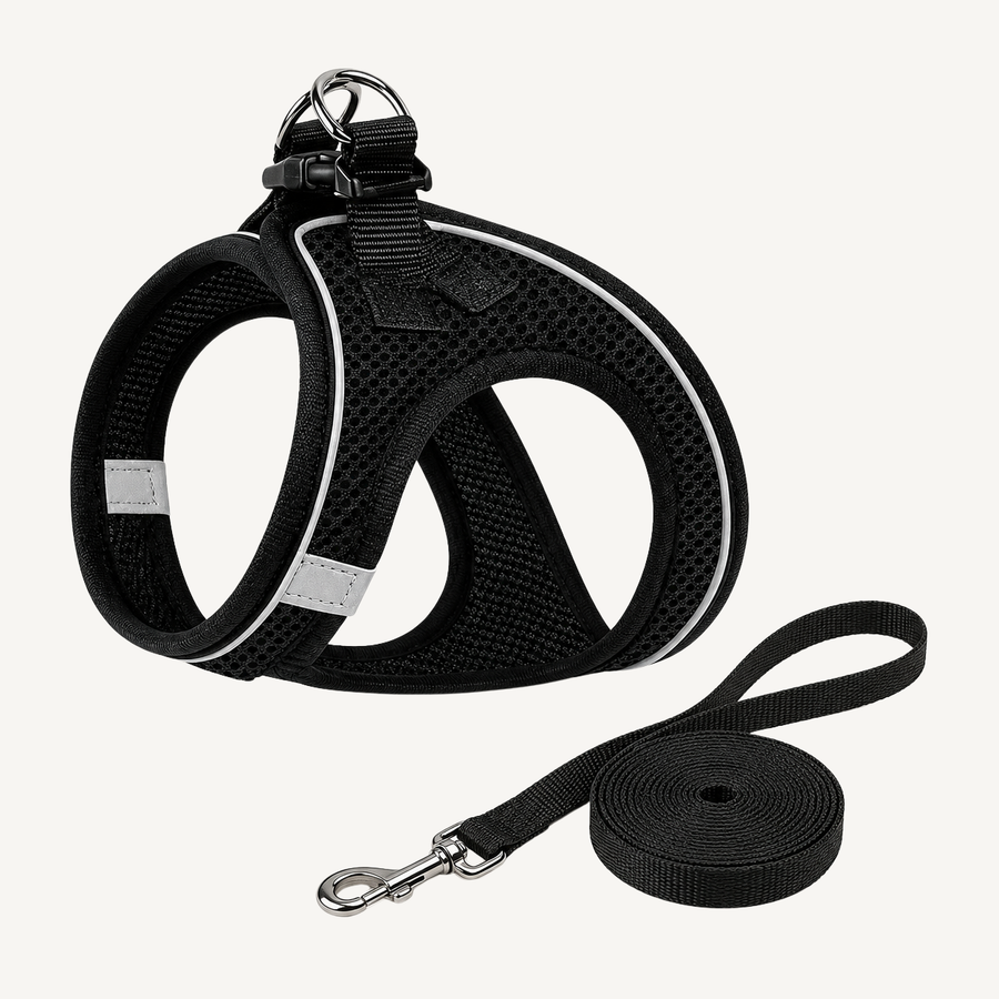 Arnês Refletor com Trela para Gatos