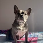 Millie