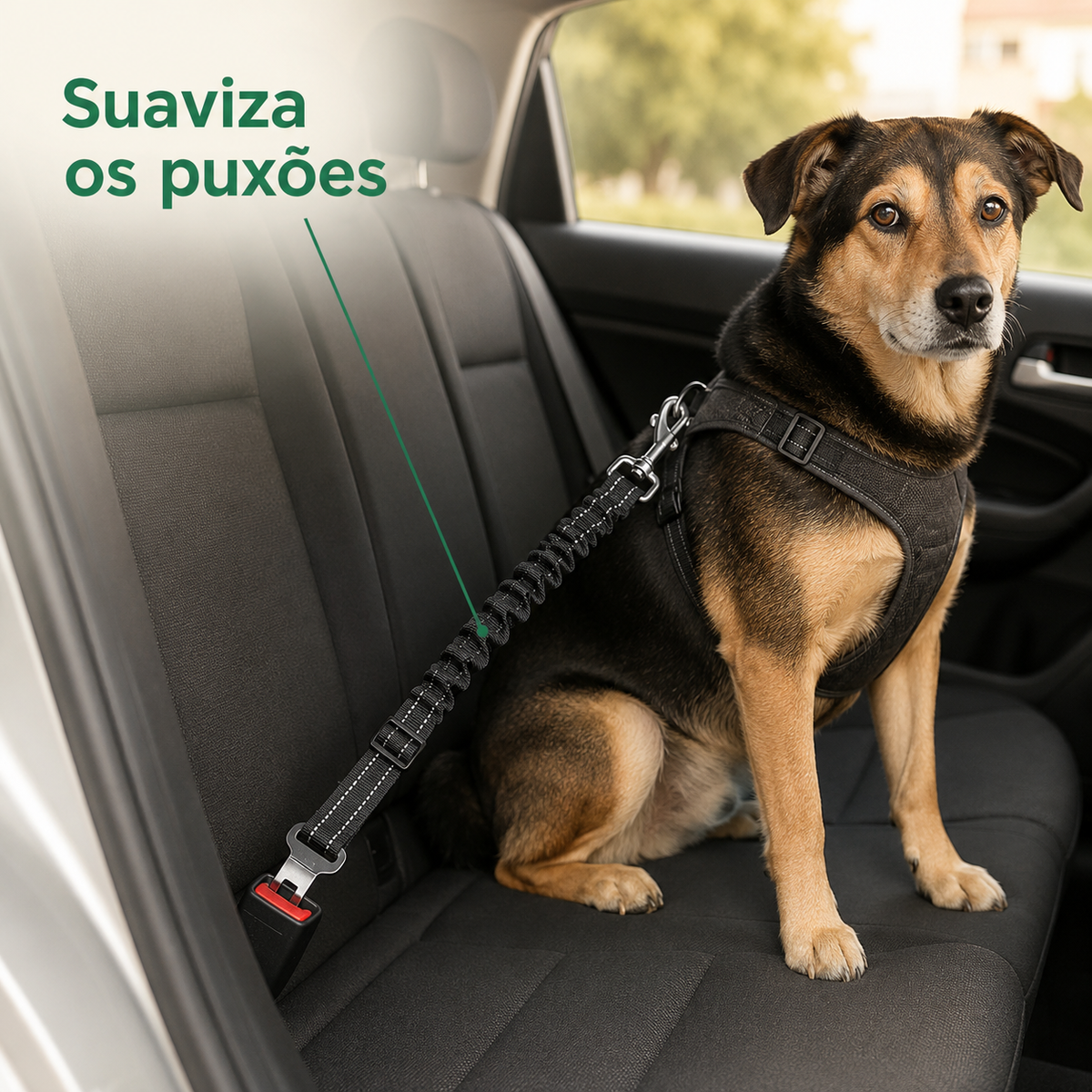 Cinto Auto Elástico para Cães e Gatos