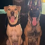 Mali&Dexter
